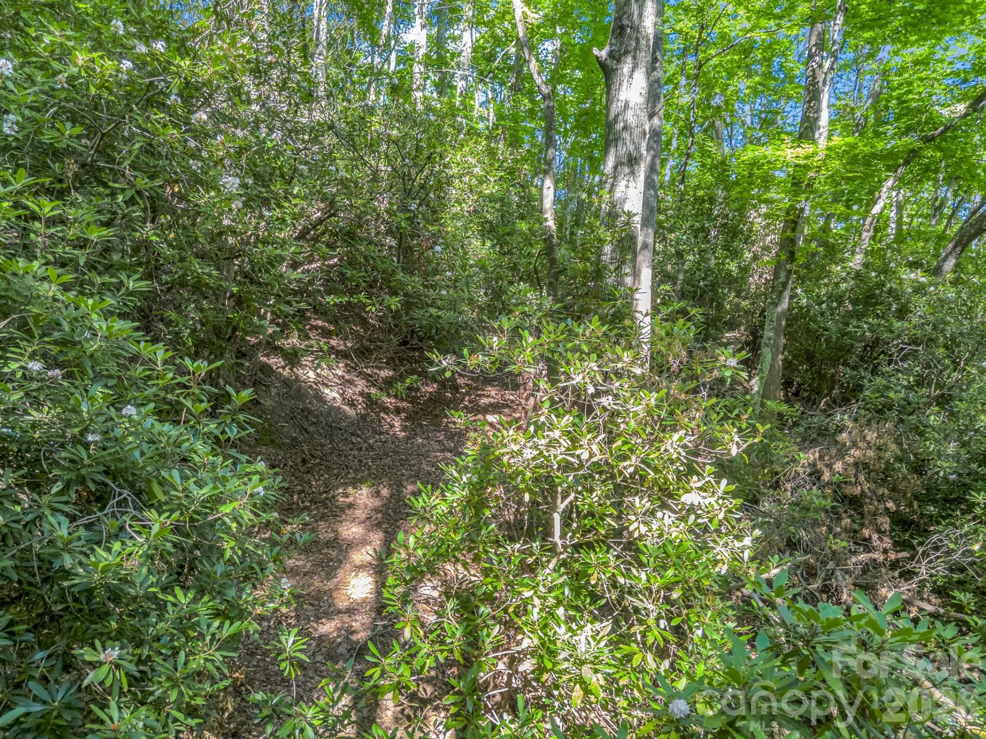 0 Vineyard Hill Drive - Photo 17