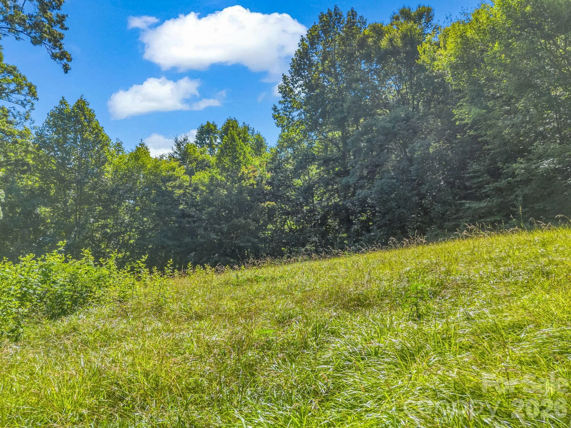 0 Vineyard Hill Drive - Photo 6
