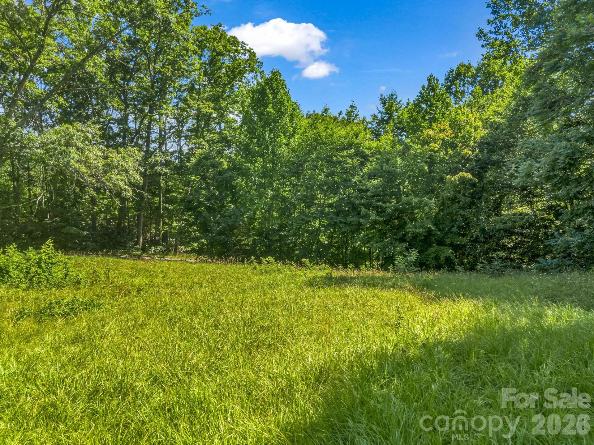 0 Vineyard Hill Drive - Photo 7