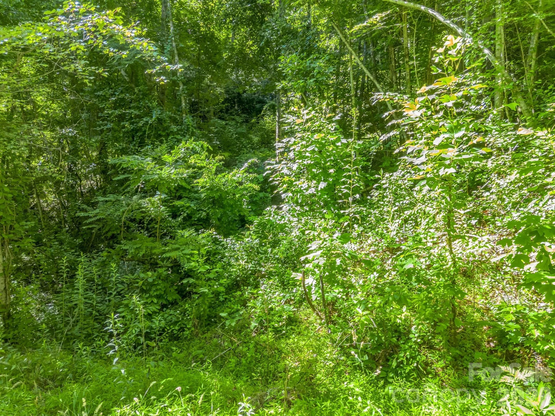 0 Vineyard Hill Drive - Photo 8