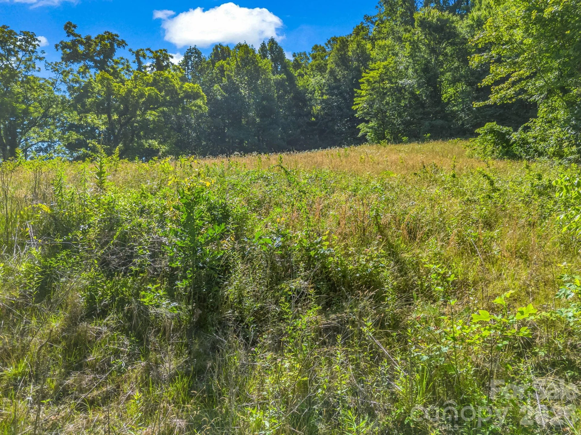 0 Vineyard Hill Drive - Photo 9