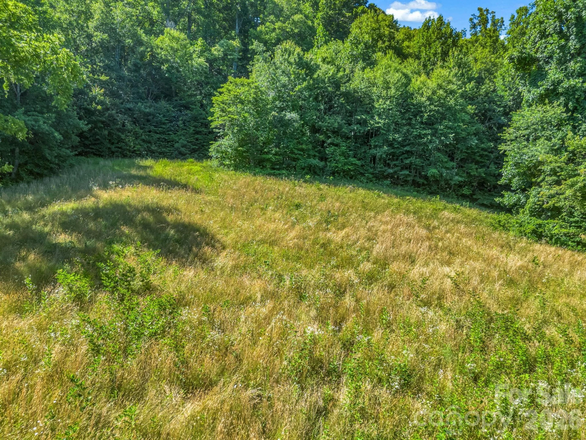 0 Vineyard Hill Drive - Photo 10