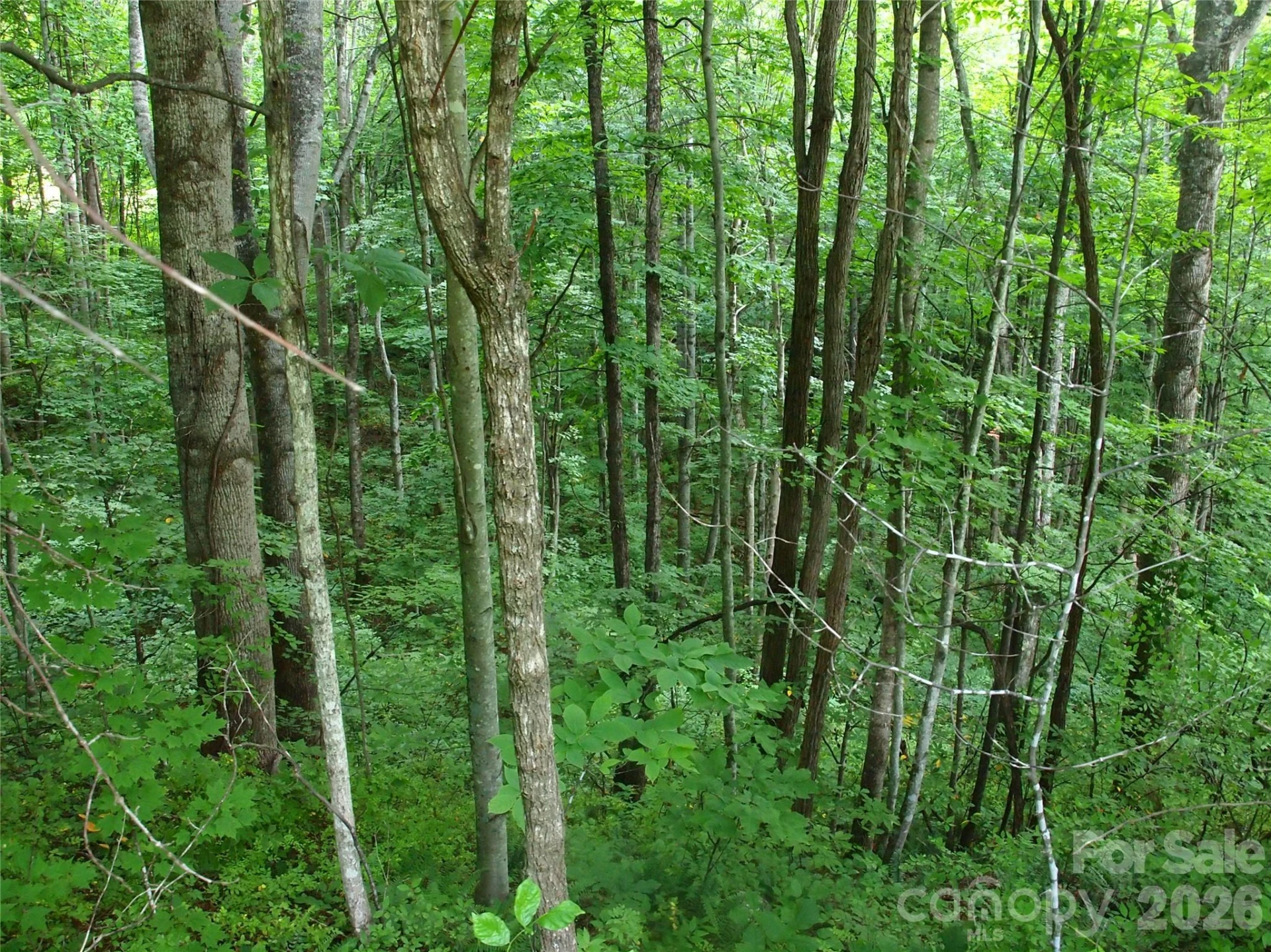 00 Sage Lane #4 - Photo 11