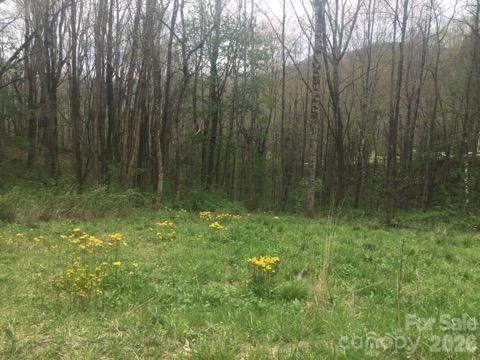 00 Sage Lane #4 - Photo 17