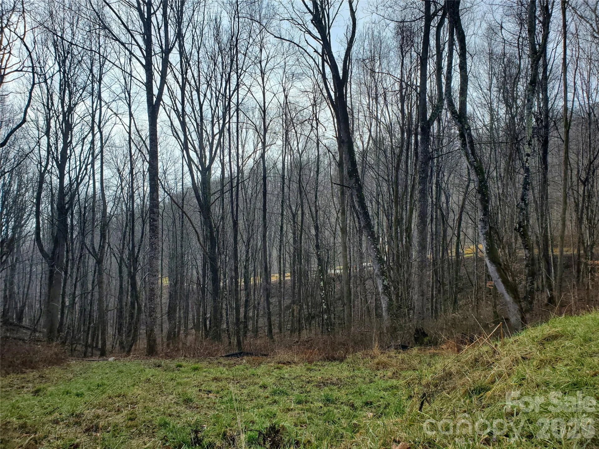 00 Sage Lane #4 - Photo 20