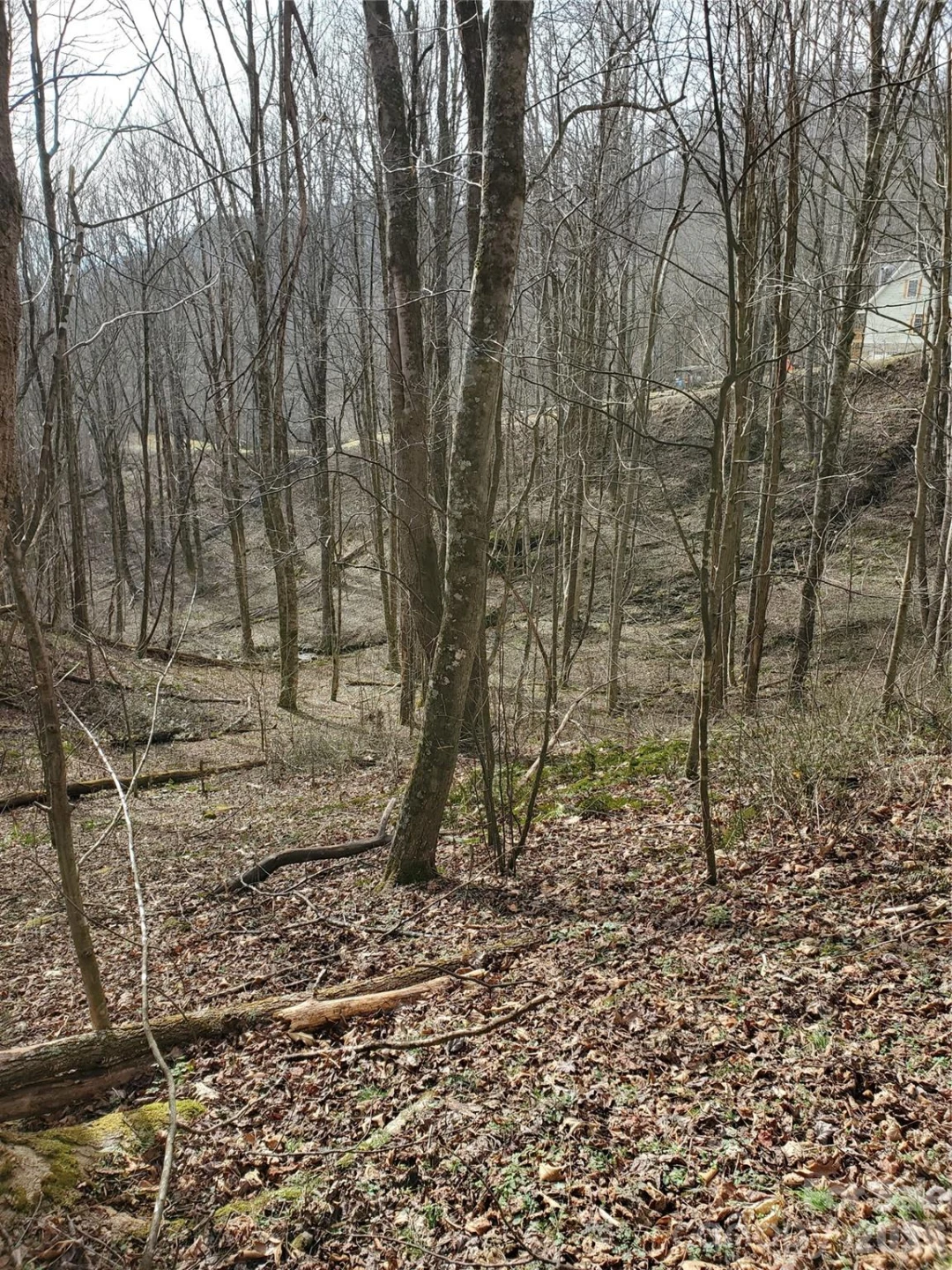 00 Sage Lane #4 - Photo 21