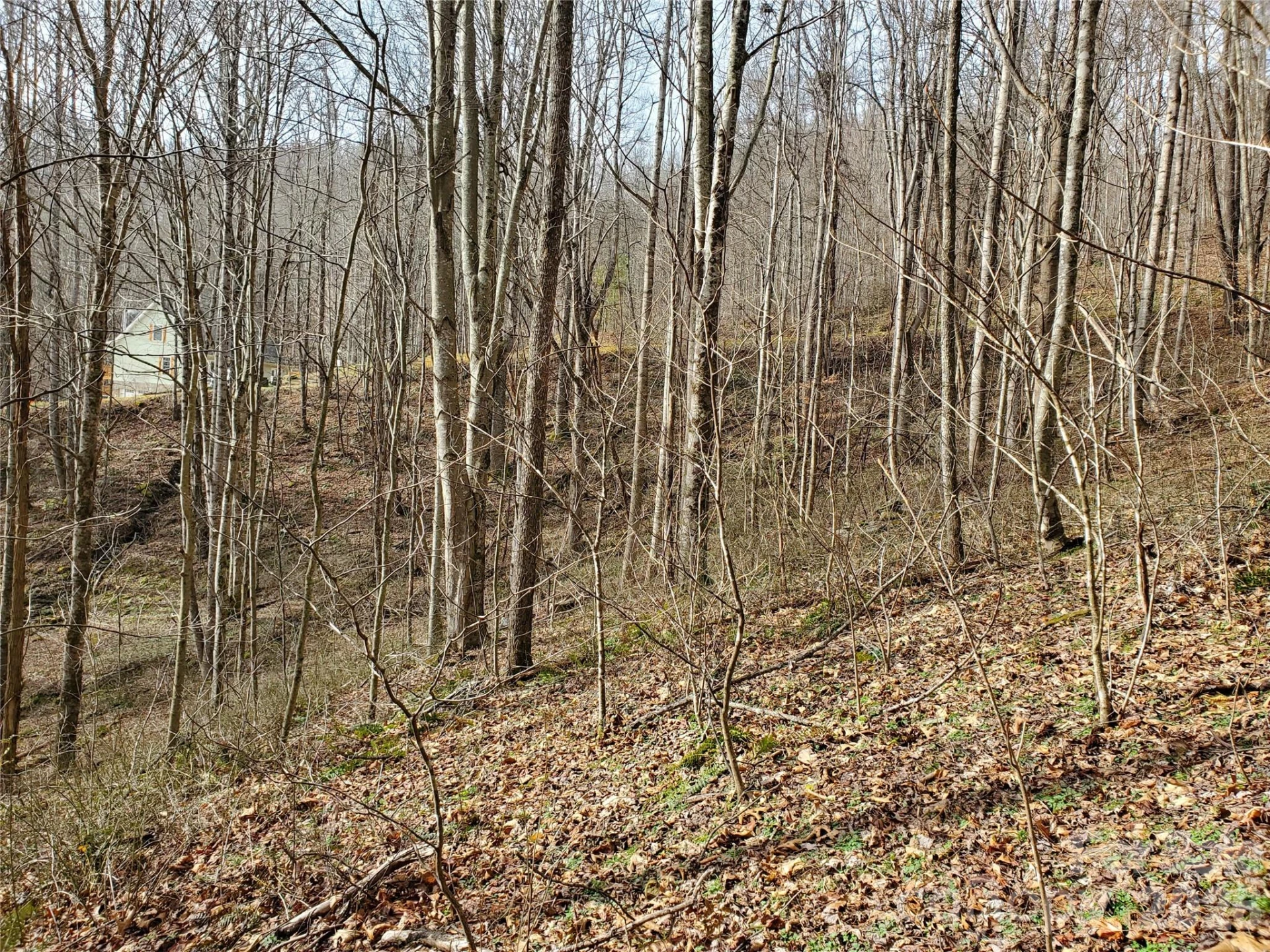 00 Sage Lane #4 - Photo 22