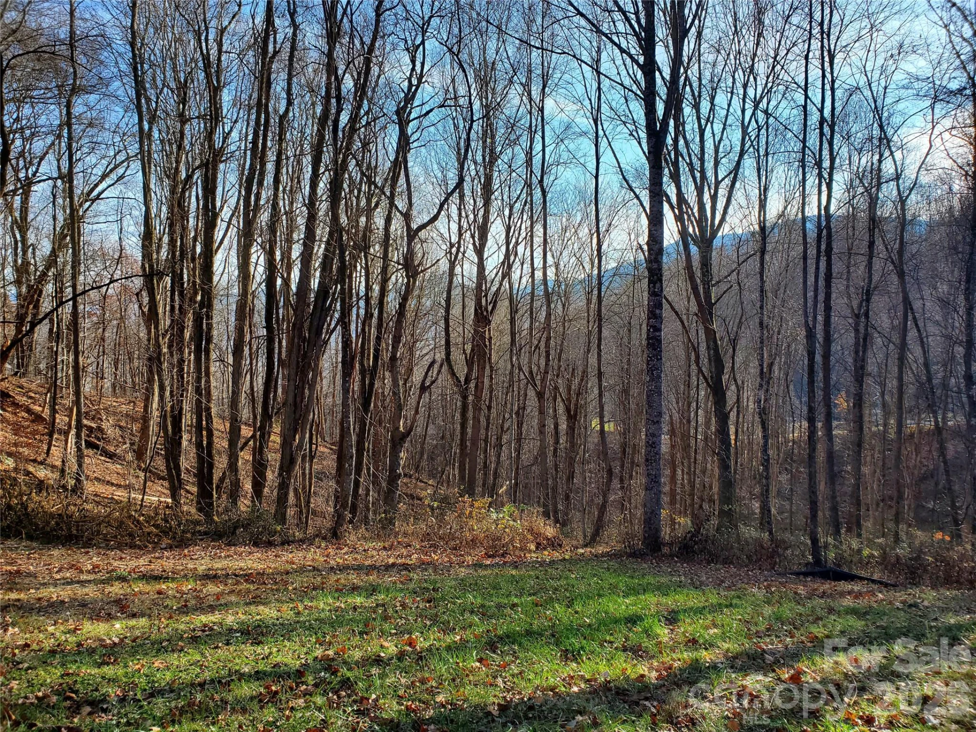 00 Sage Lane #4 - Photo 23