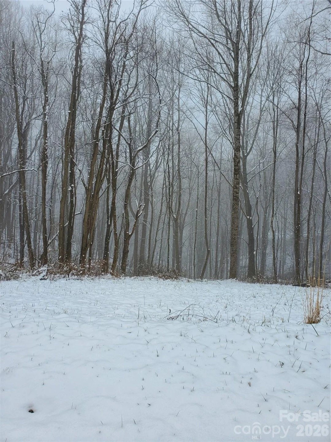 00 Sage Lane #4 - Photo 24