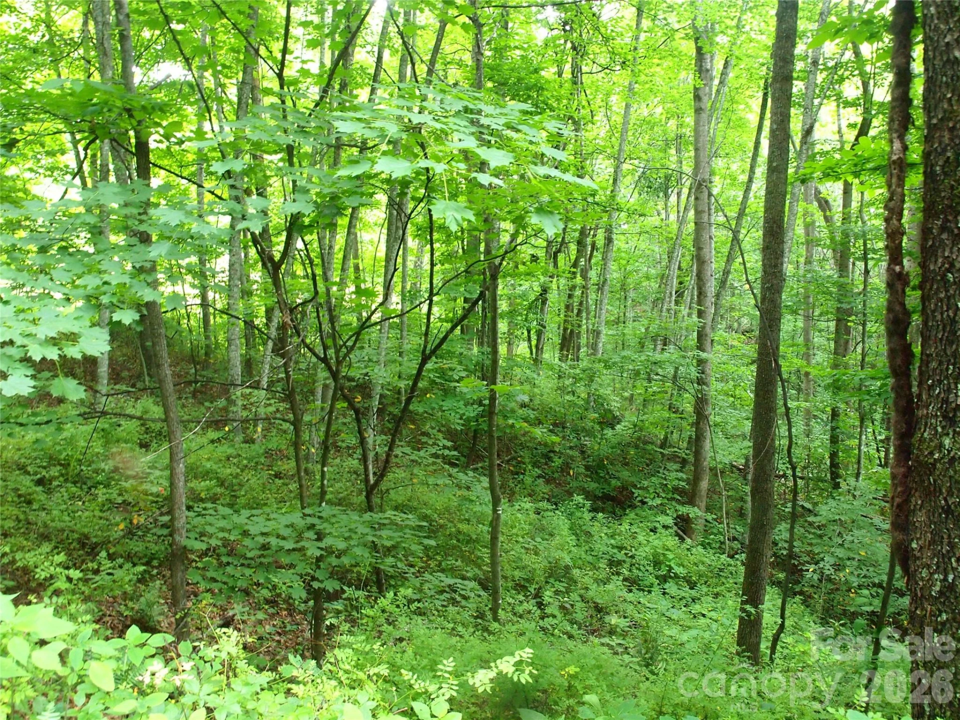00 Sage Lane #4 - Photo 5