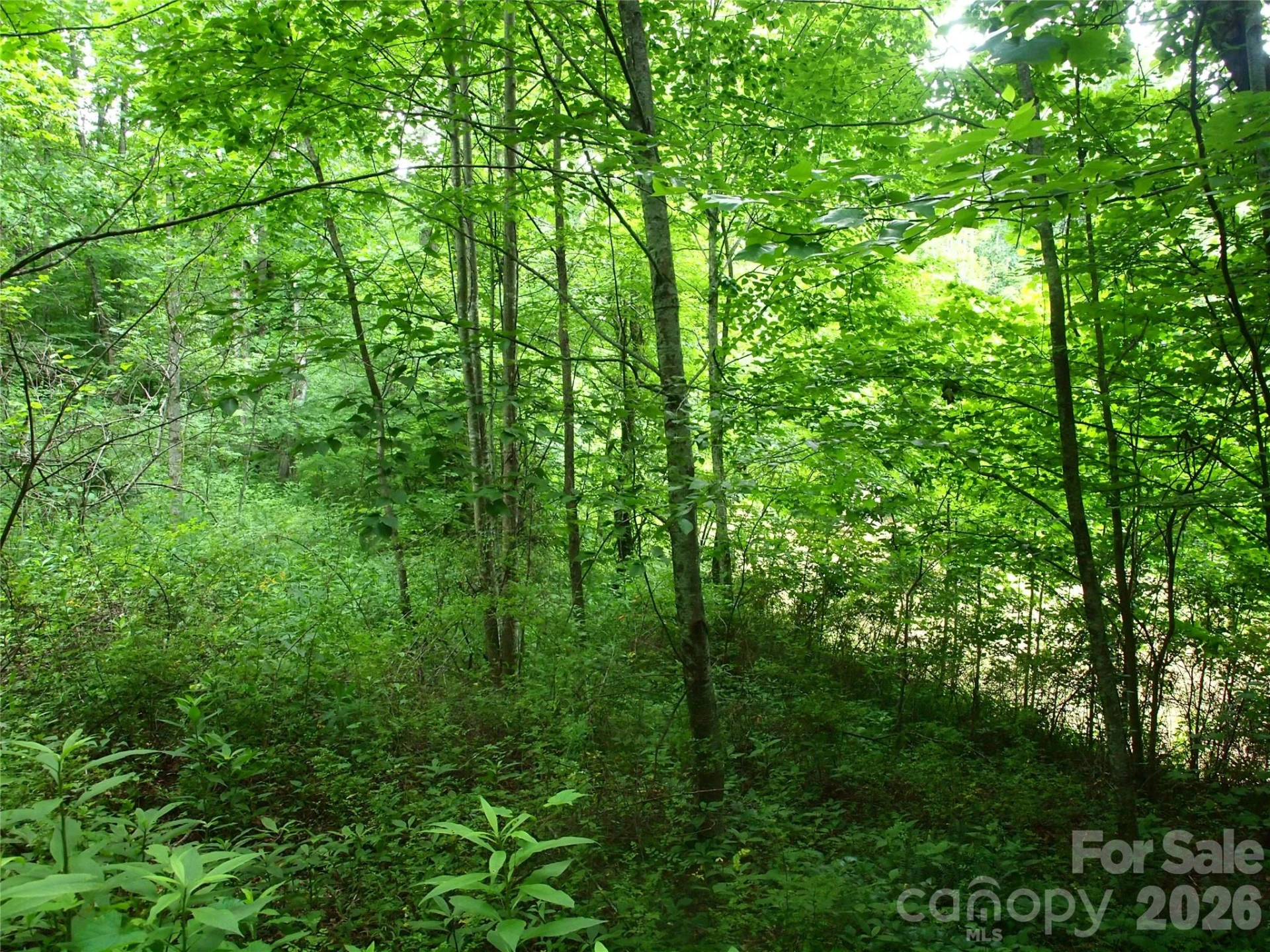 00 Sage Lane #4 - Photo 6