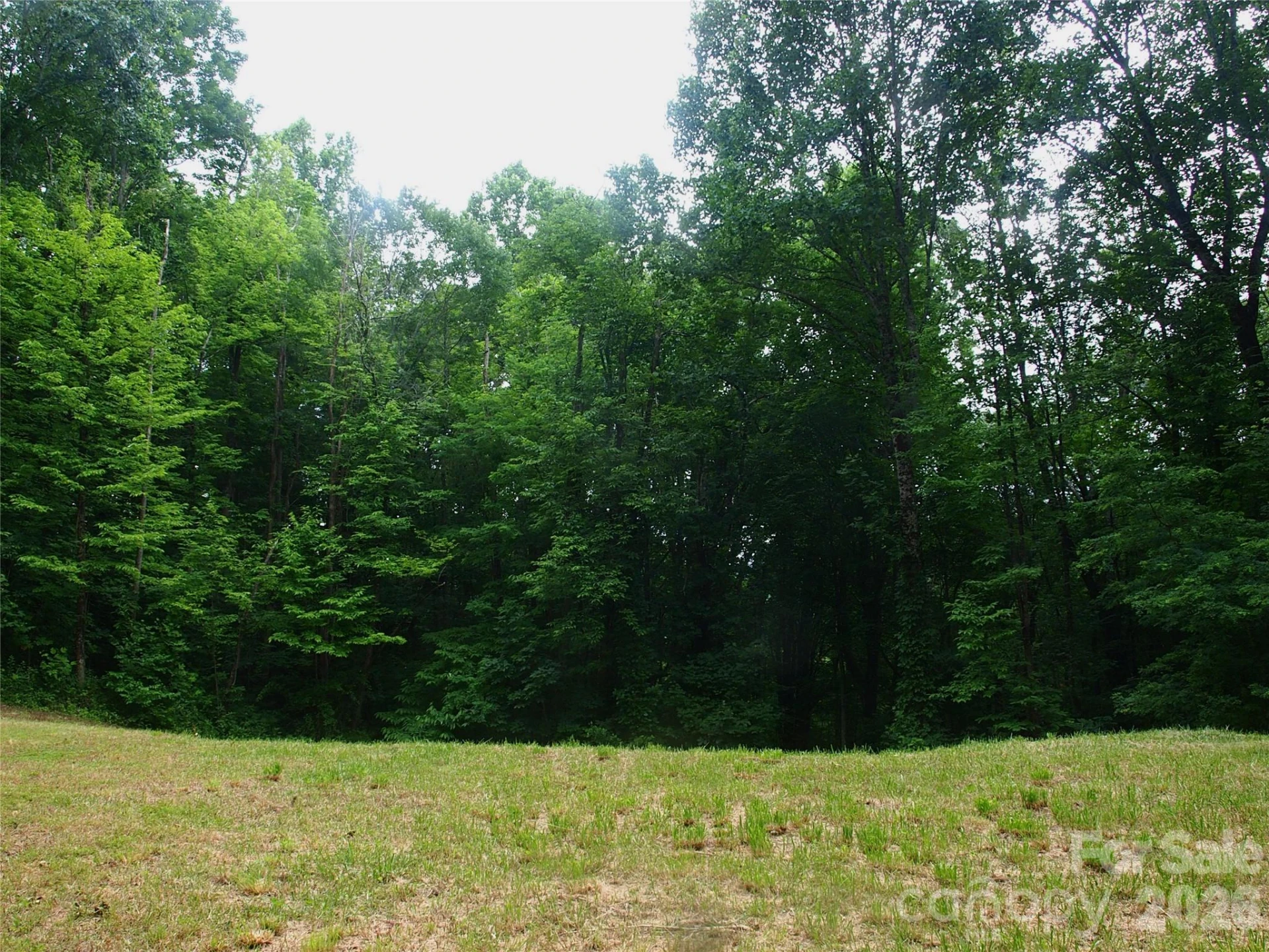 00 Sage Lane #4 - Photo 8