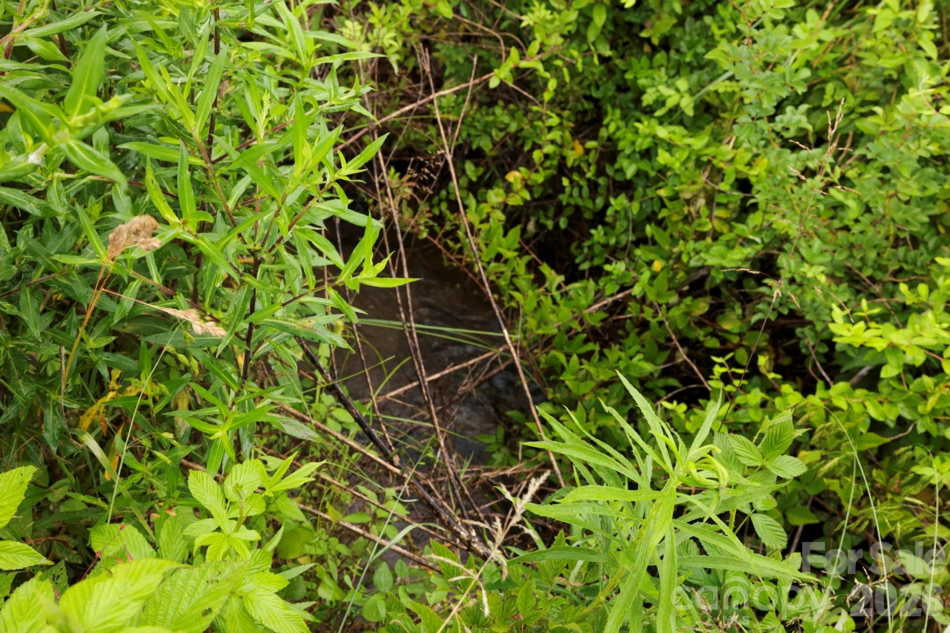 135 Herron Cove Road - Photo 31