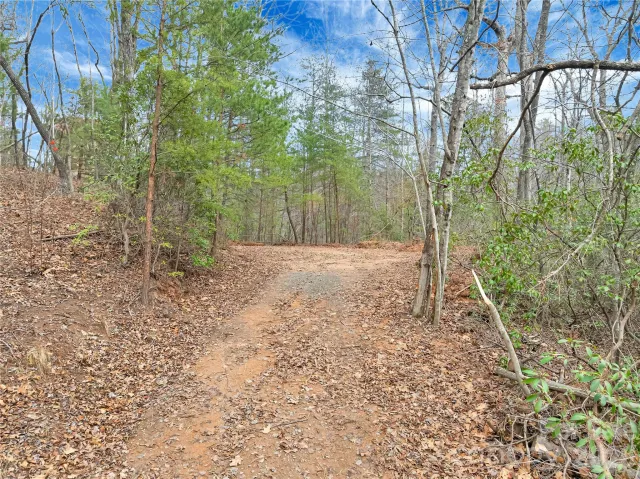 TBD Deep Woods Lane, Saluda, NC, 28773