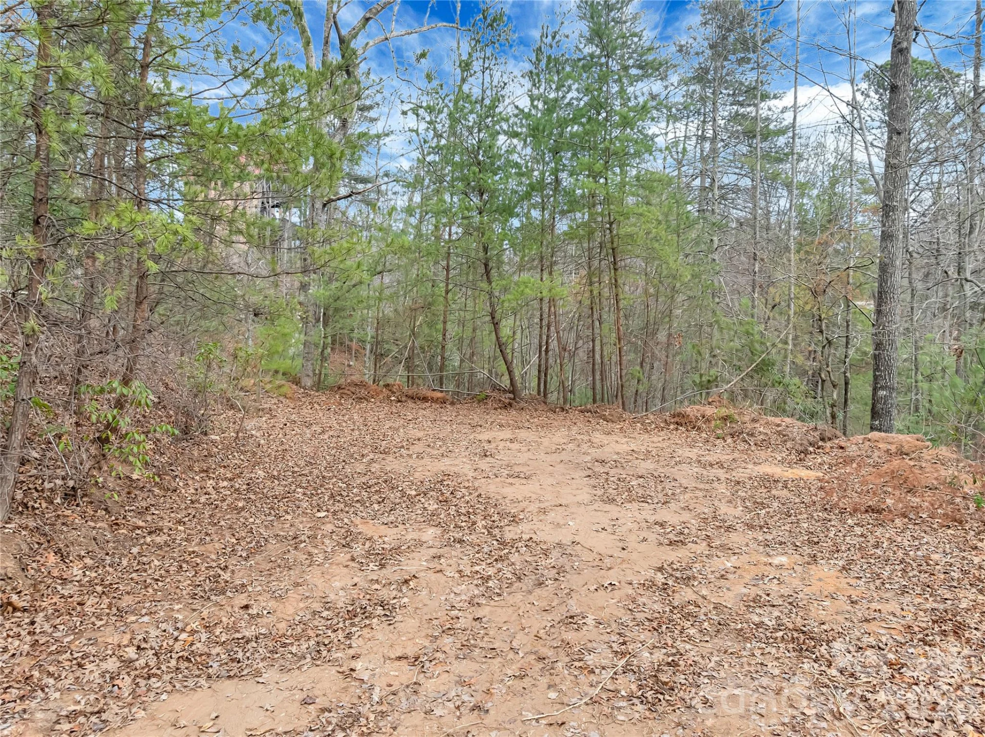 TBD Deep Woods Lane #102 - Photo 2