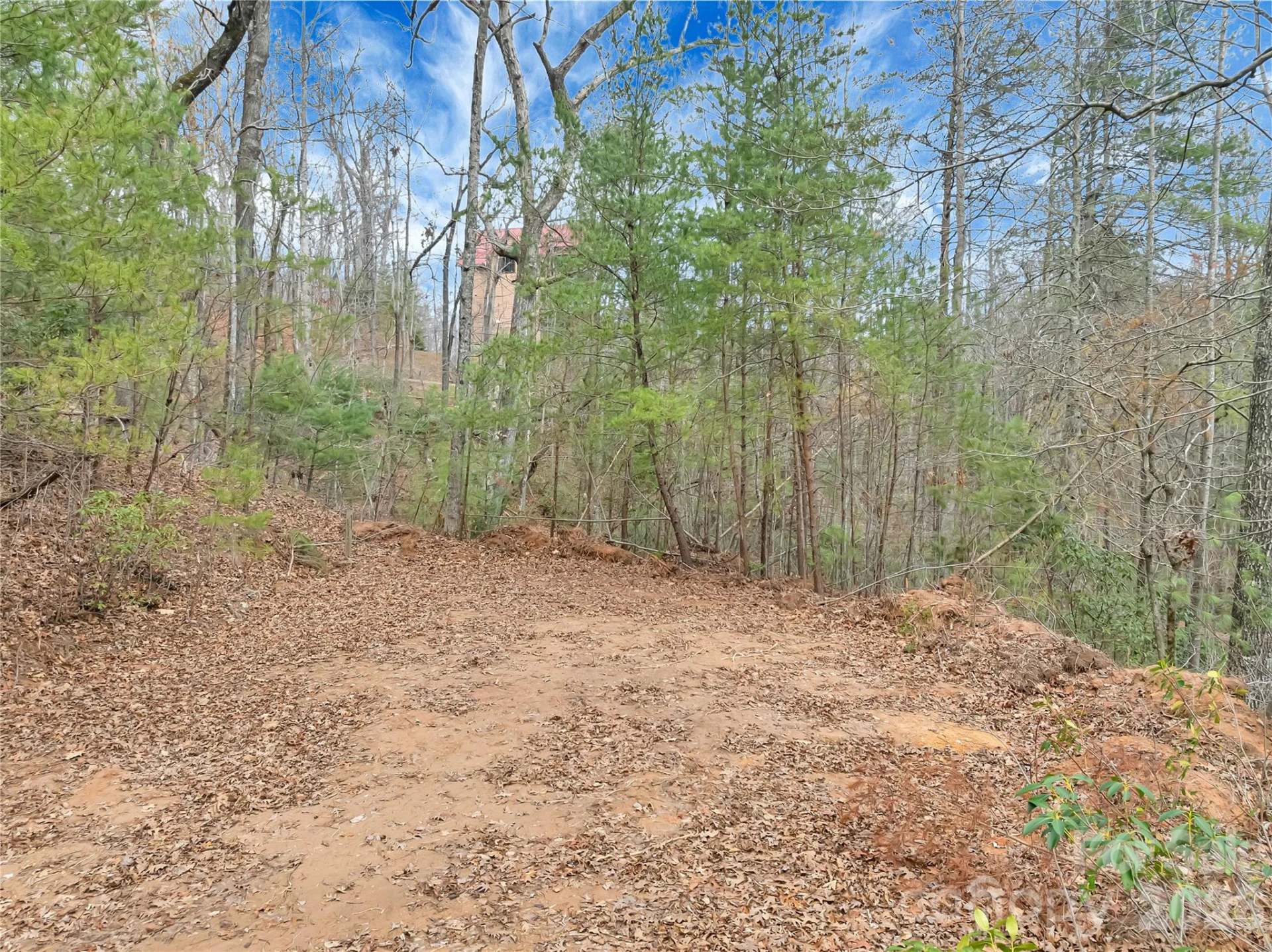 TBD Deep Woods Lane #102 - Photo 3