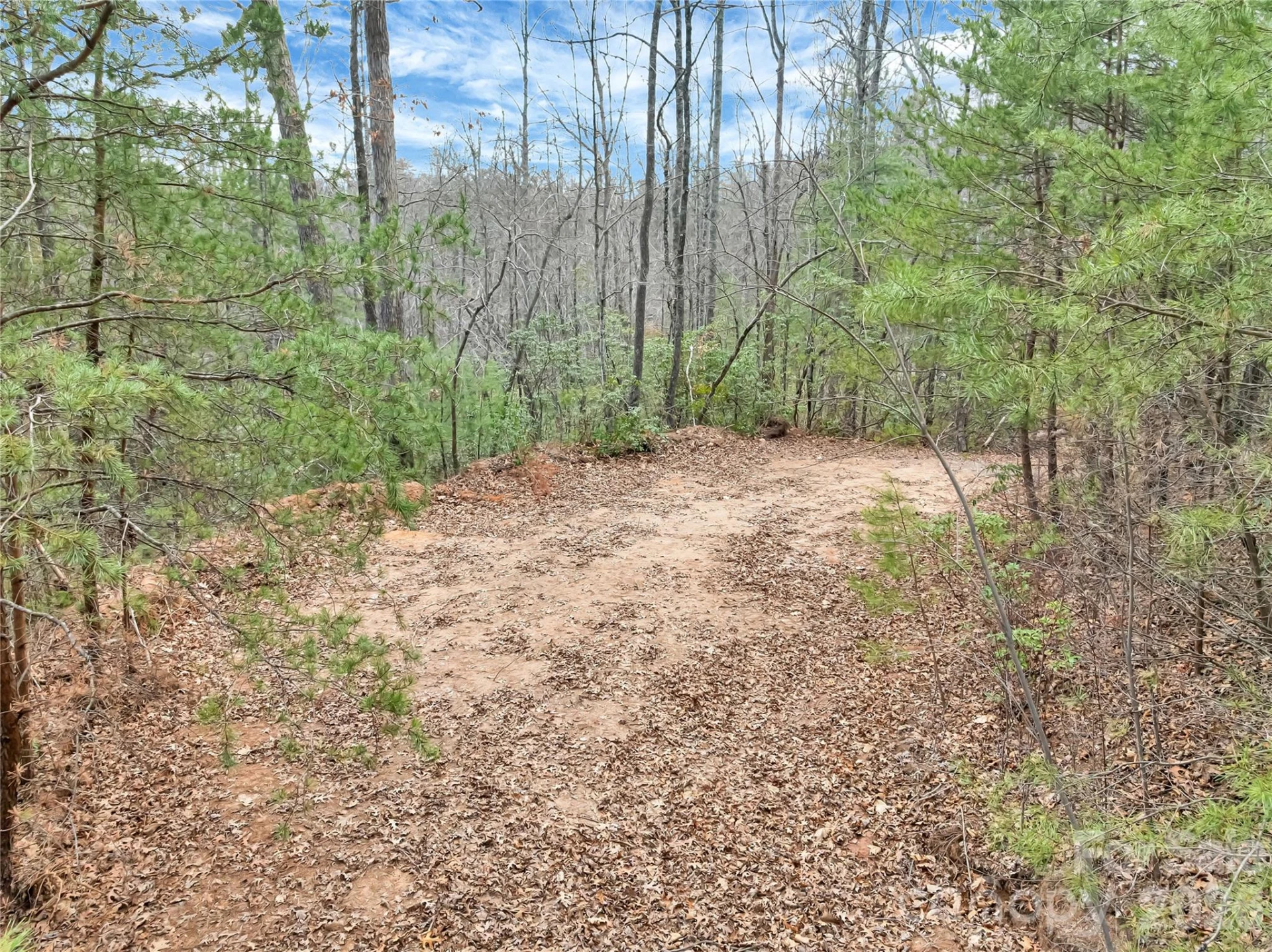 TBD Deep Woods Lane #102 - Photo 4