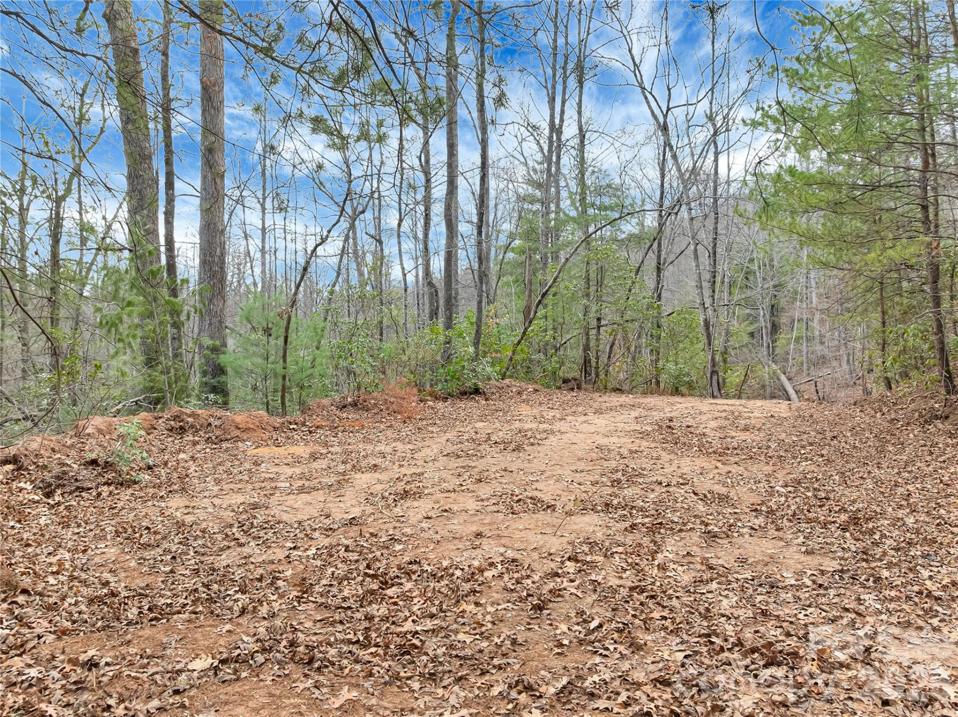TBD Deep Woods Lane #102 - Photo 5