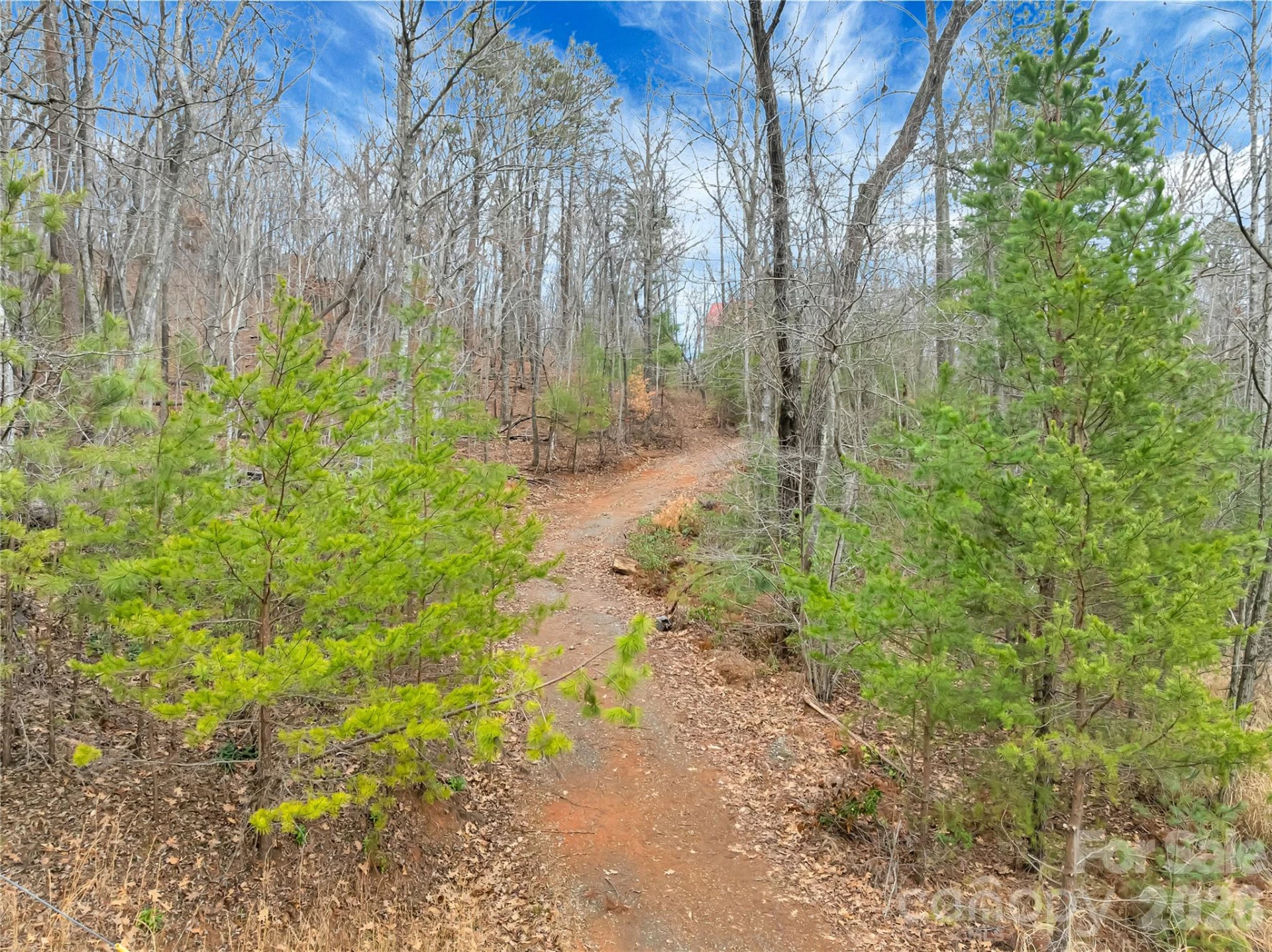 TBD Deep Woods Lane #102 - Photo 6