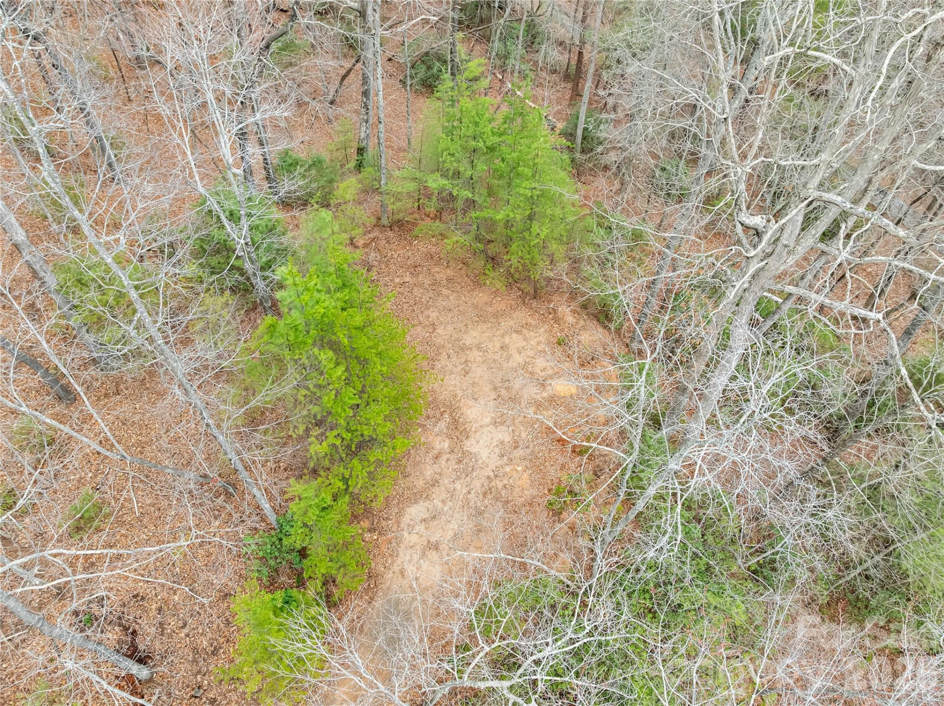 TBD Deep Woods Lane #102 - Photo 7