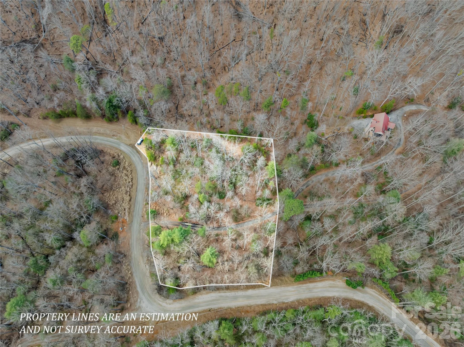 TBD Deep Woods Lane #102 - Photo 8