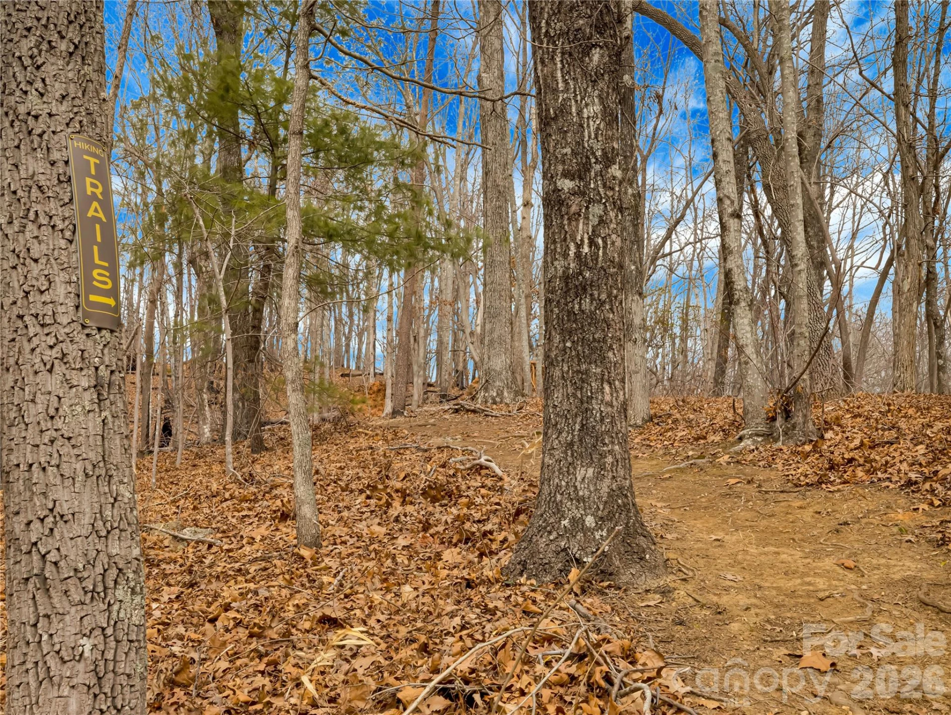 TBD Deep Woods Lane #102 - Photo 10