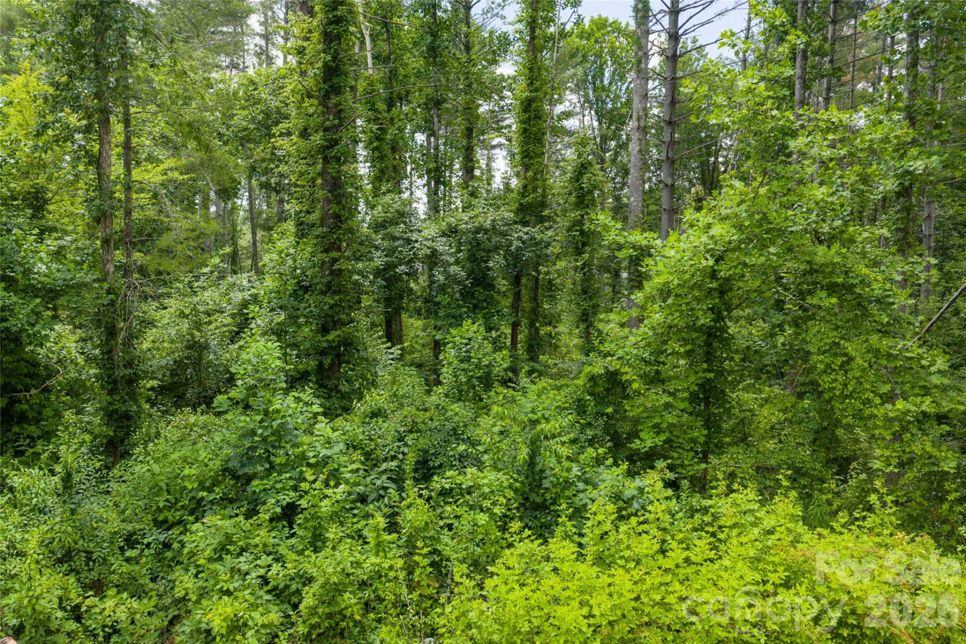 4 Dunnwoody Drive - Photo 6