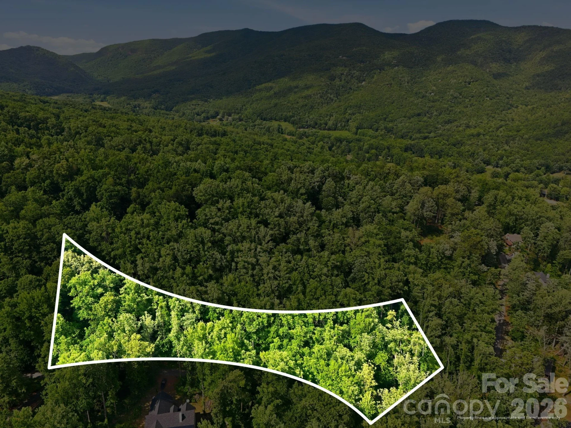 0000 Rocky Branch Trail - Photo 2