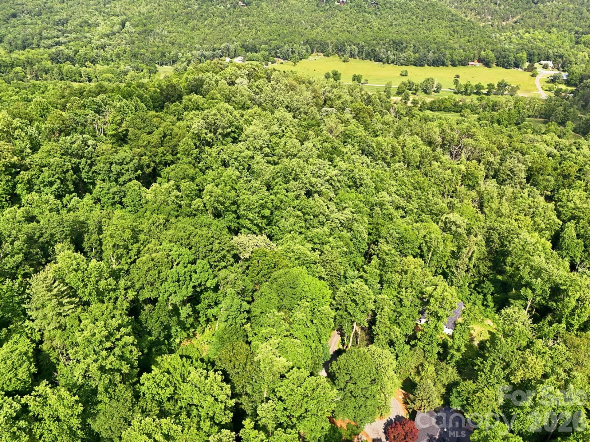 0000 Rocky Branch Trail - Photo 11