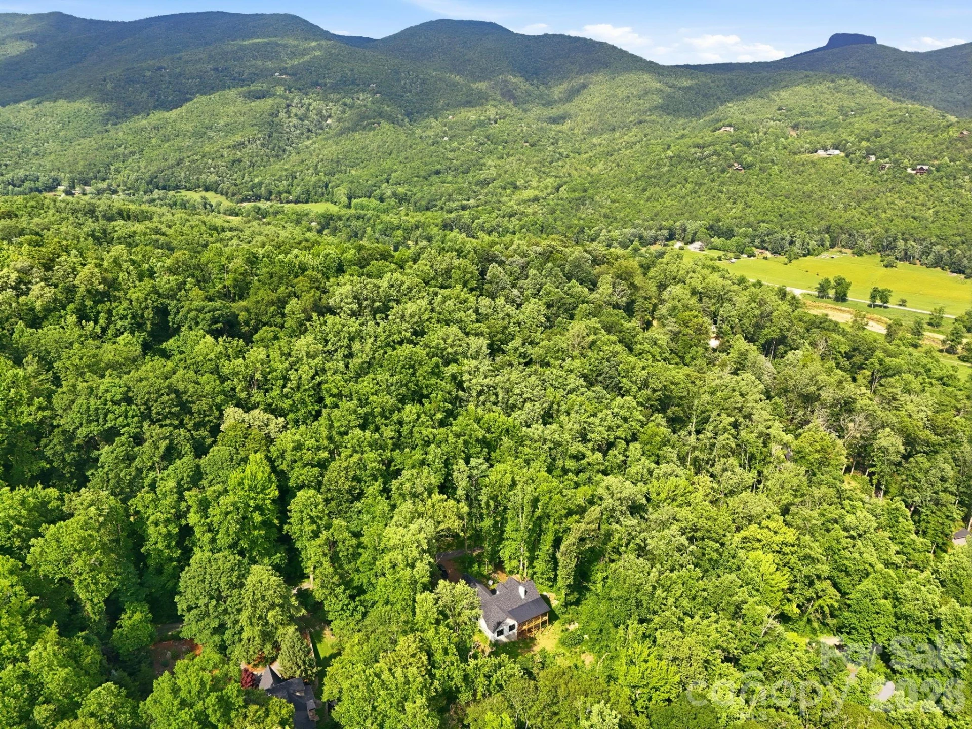 0000 Rocky Branch Trail - Photo 12