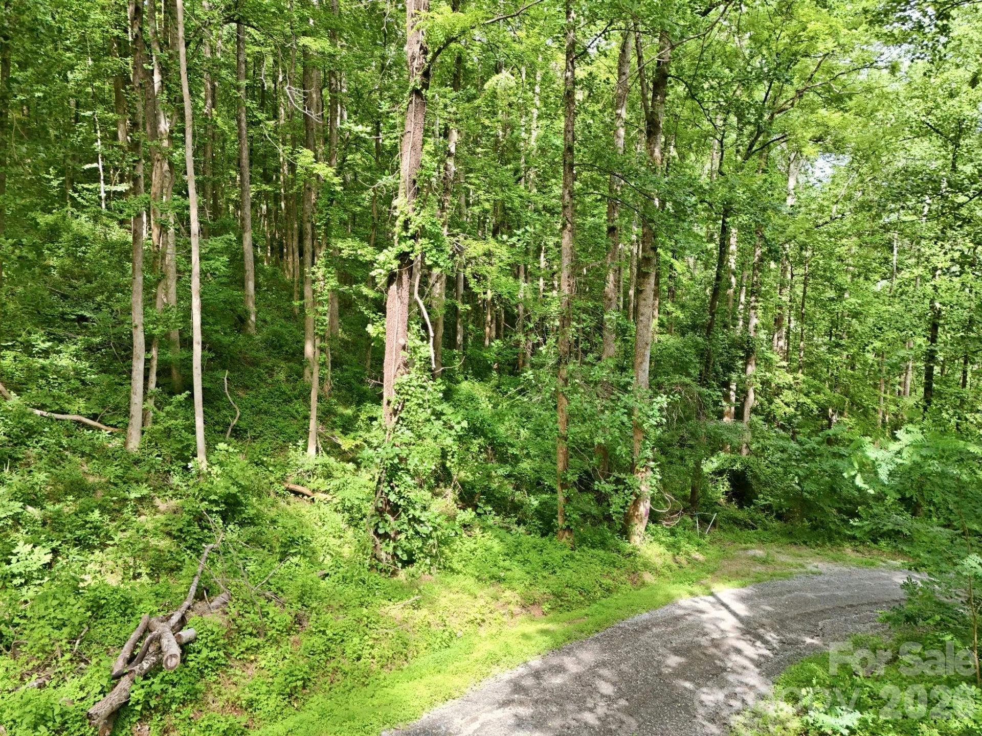 0000 Rocky Branch Trail - Photo 13