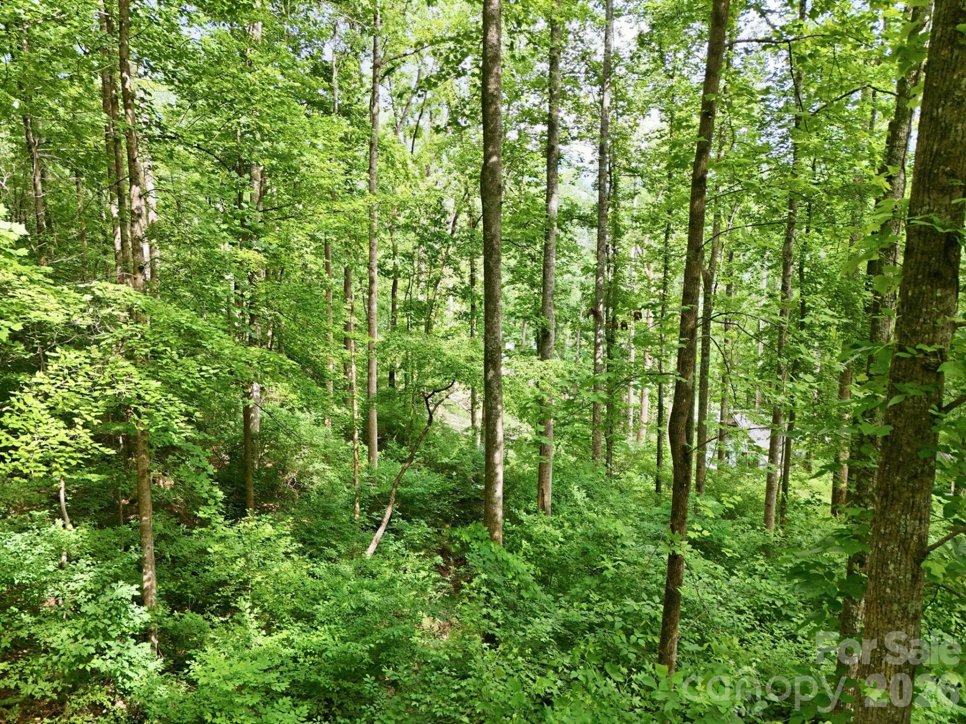 0000 Rocky Branch Trail - Photo 14