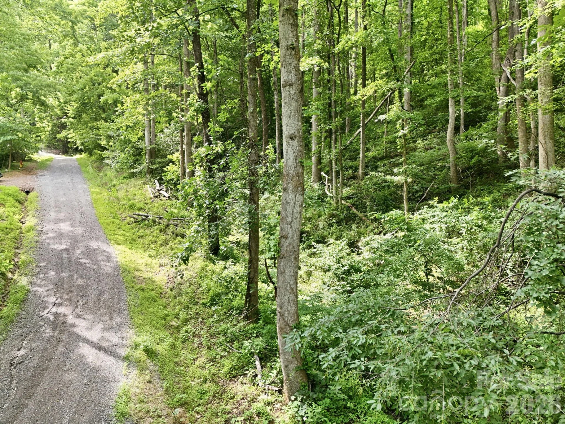 0000 Rocky Branch Trail - Photo 15