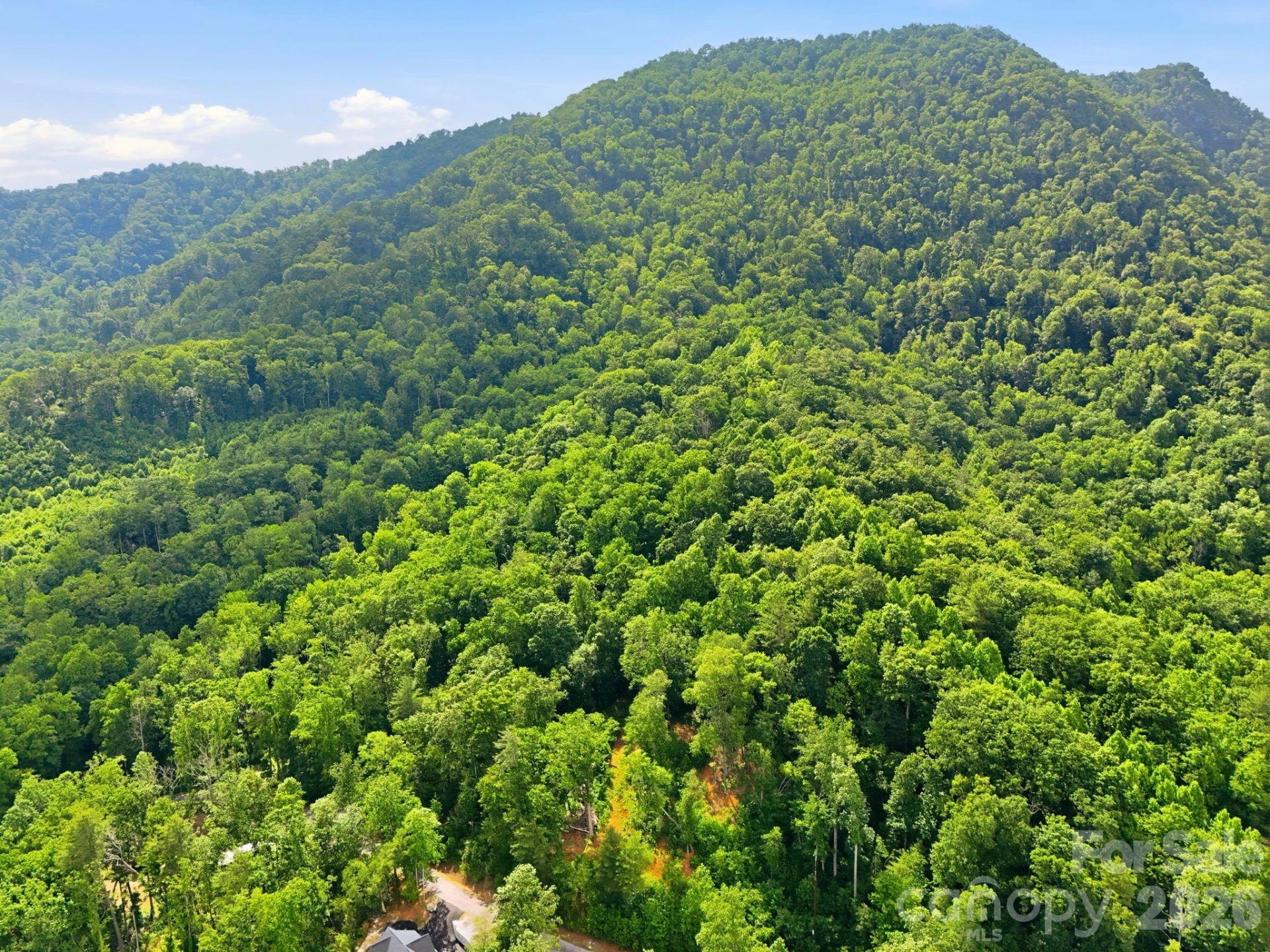 0000 Rocky Branch Trail - Photo 3