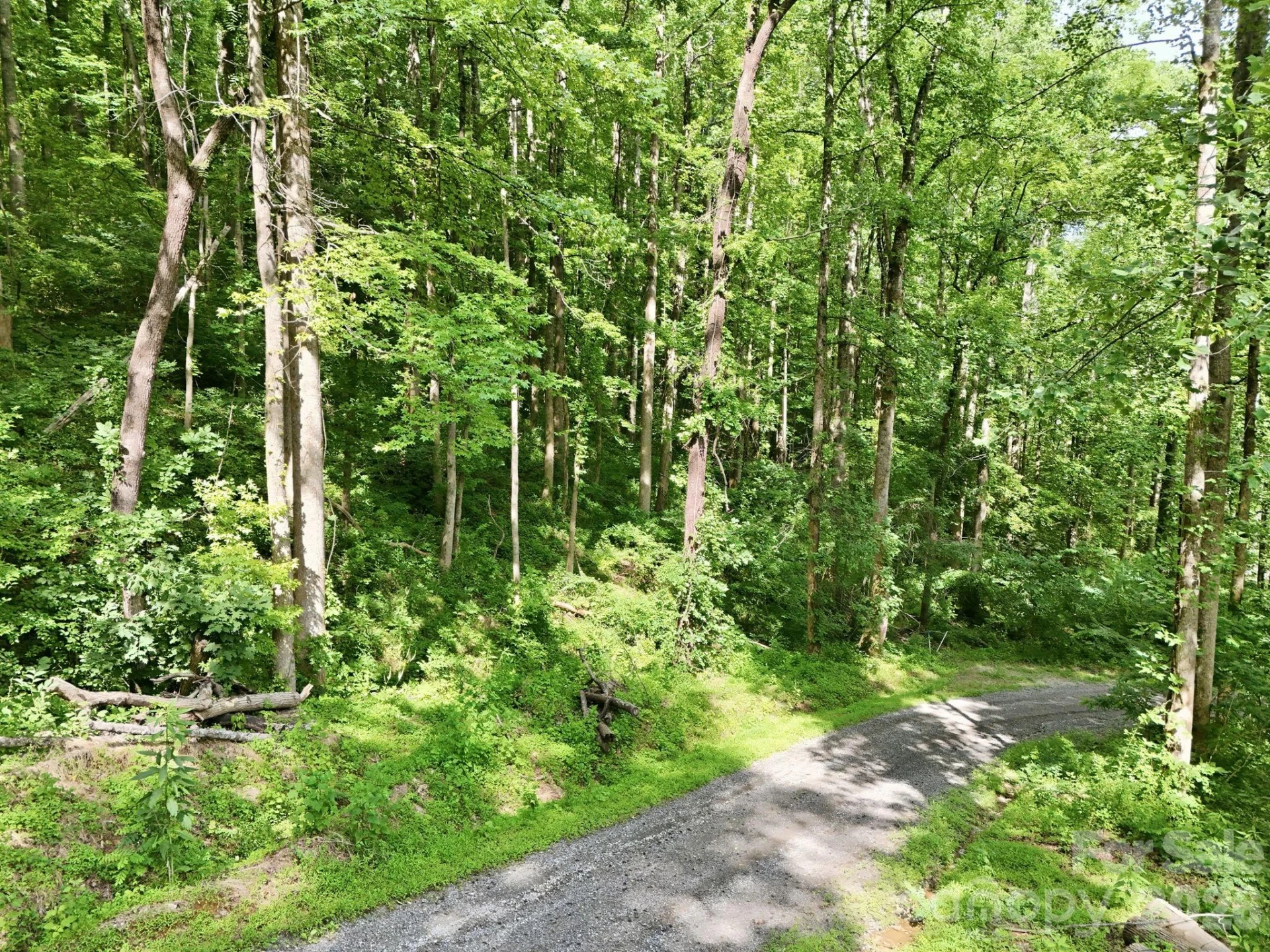 0000 Rocky Branch Trail - Photo 4