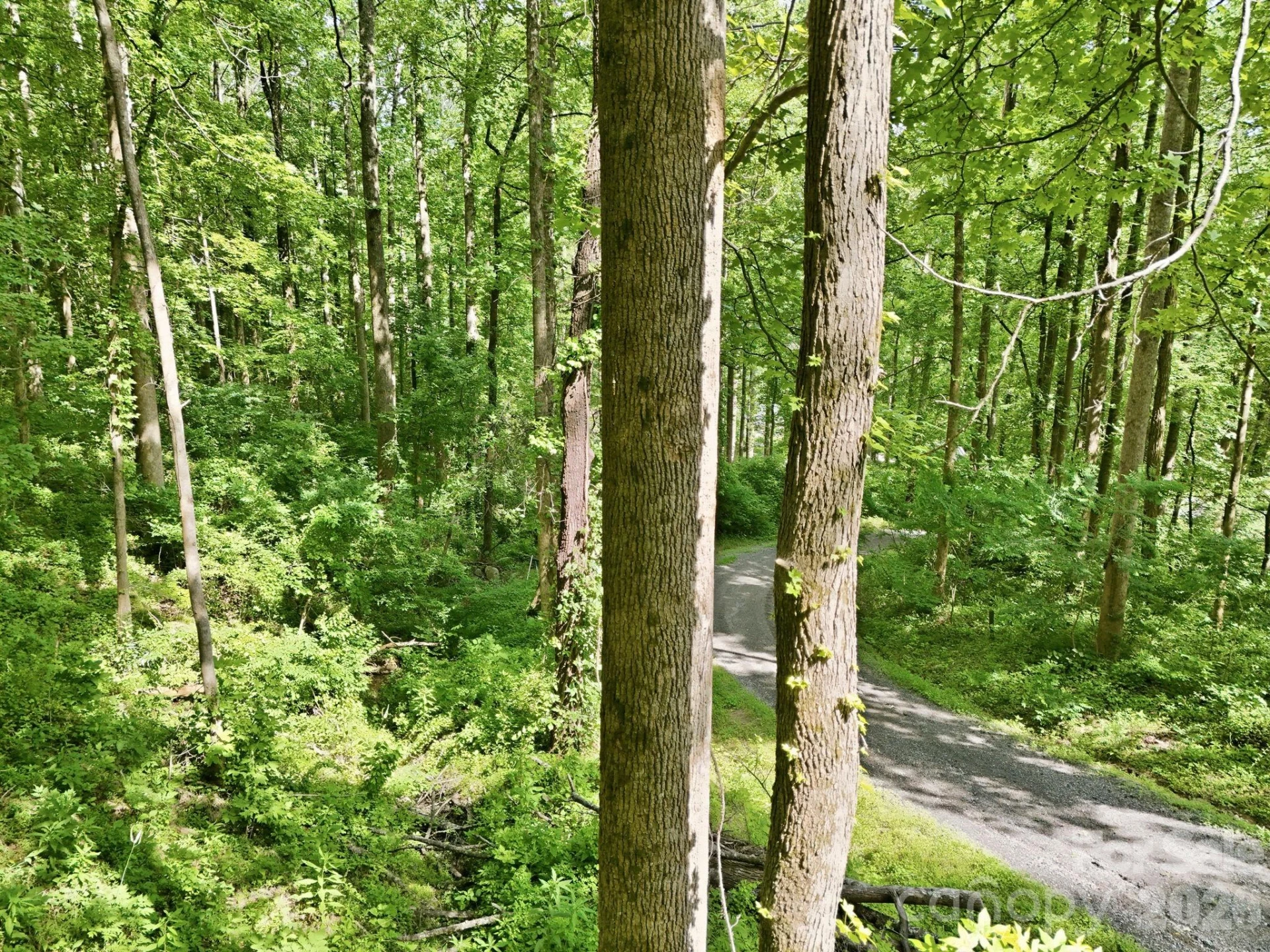 0000 Rocky Branch Trail - Photo 5