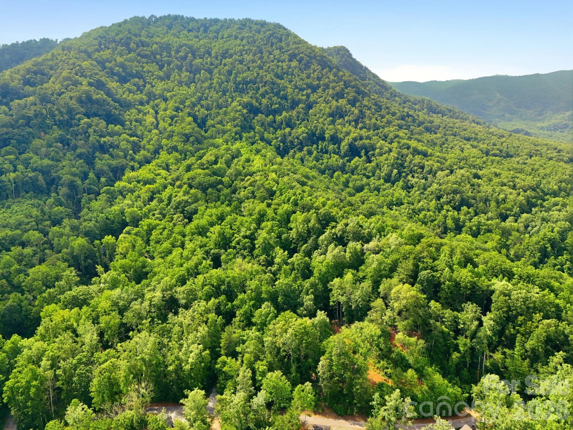 0000 Rocky Branch Trail - Photo 10
