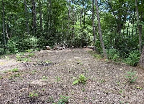 5 Marion Drive - Photo 7