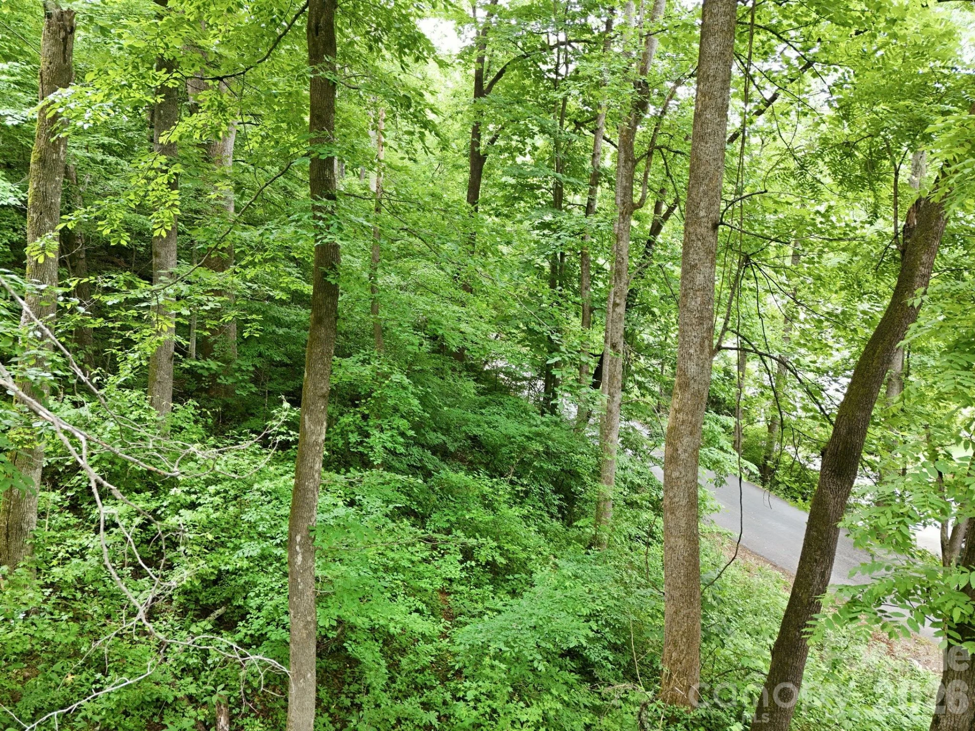 9999 Blue Ridge Drive S - Photo 17