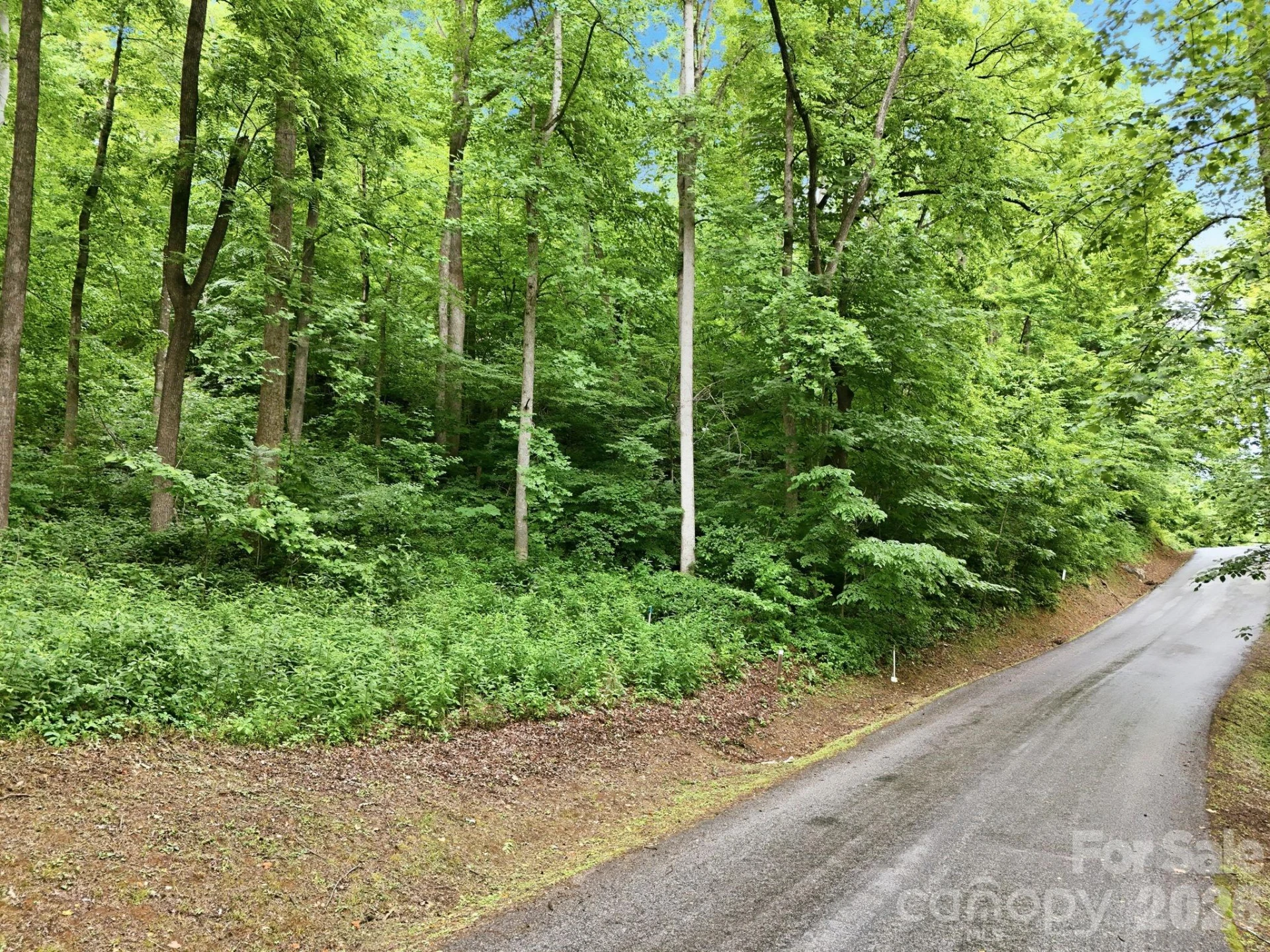 9999 Blue Ridge Drive S - Photo 4