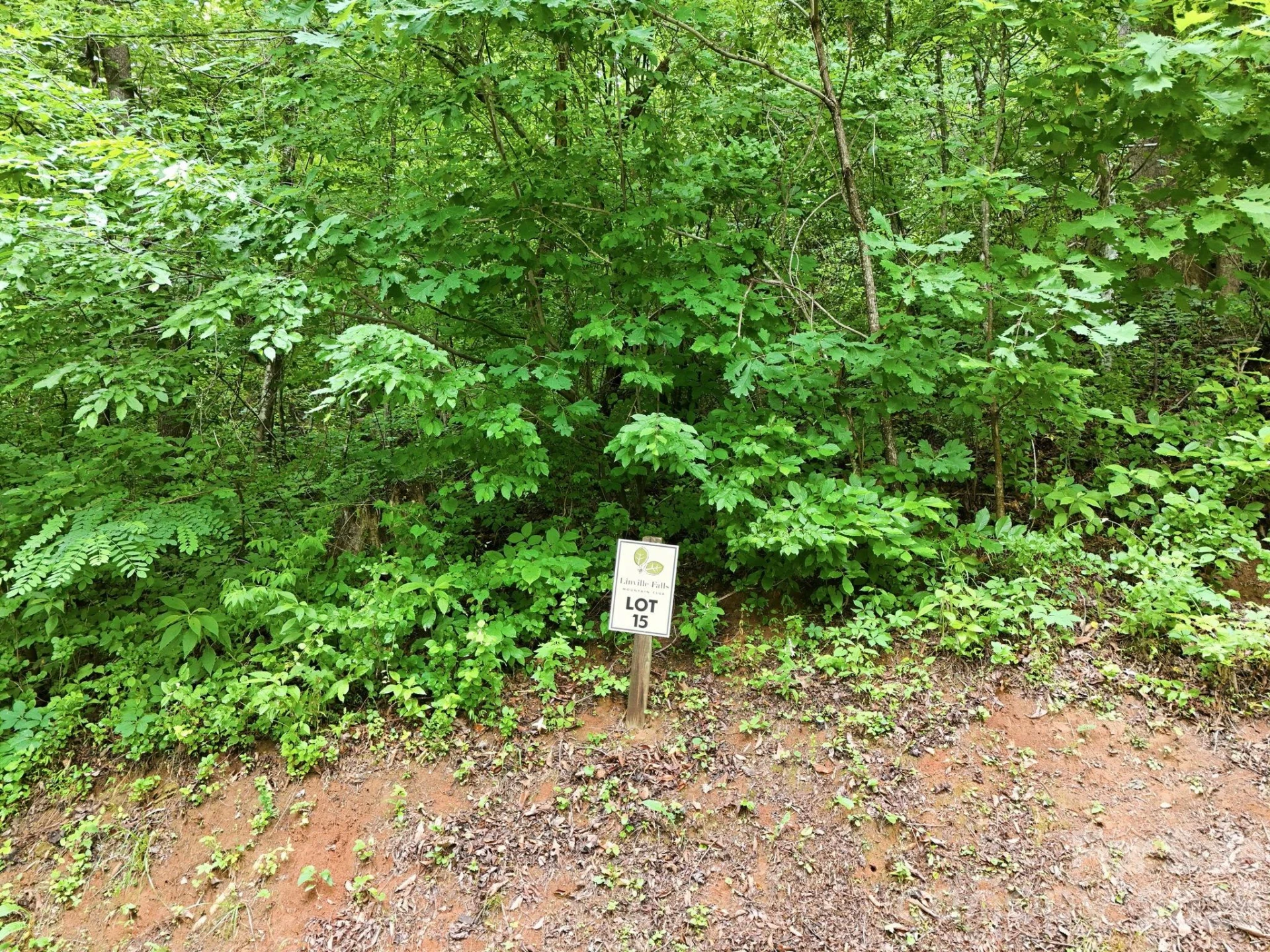 9999 Blue Ridge Drive S - Photo 5