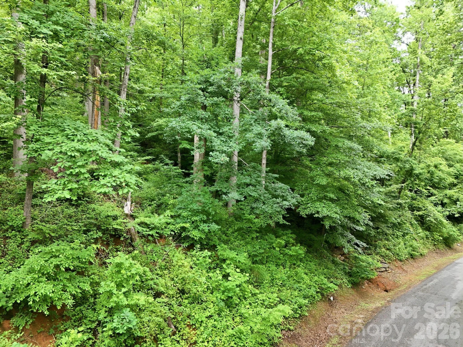 9999 Blue Ridge Drive S - Photo 7