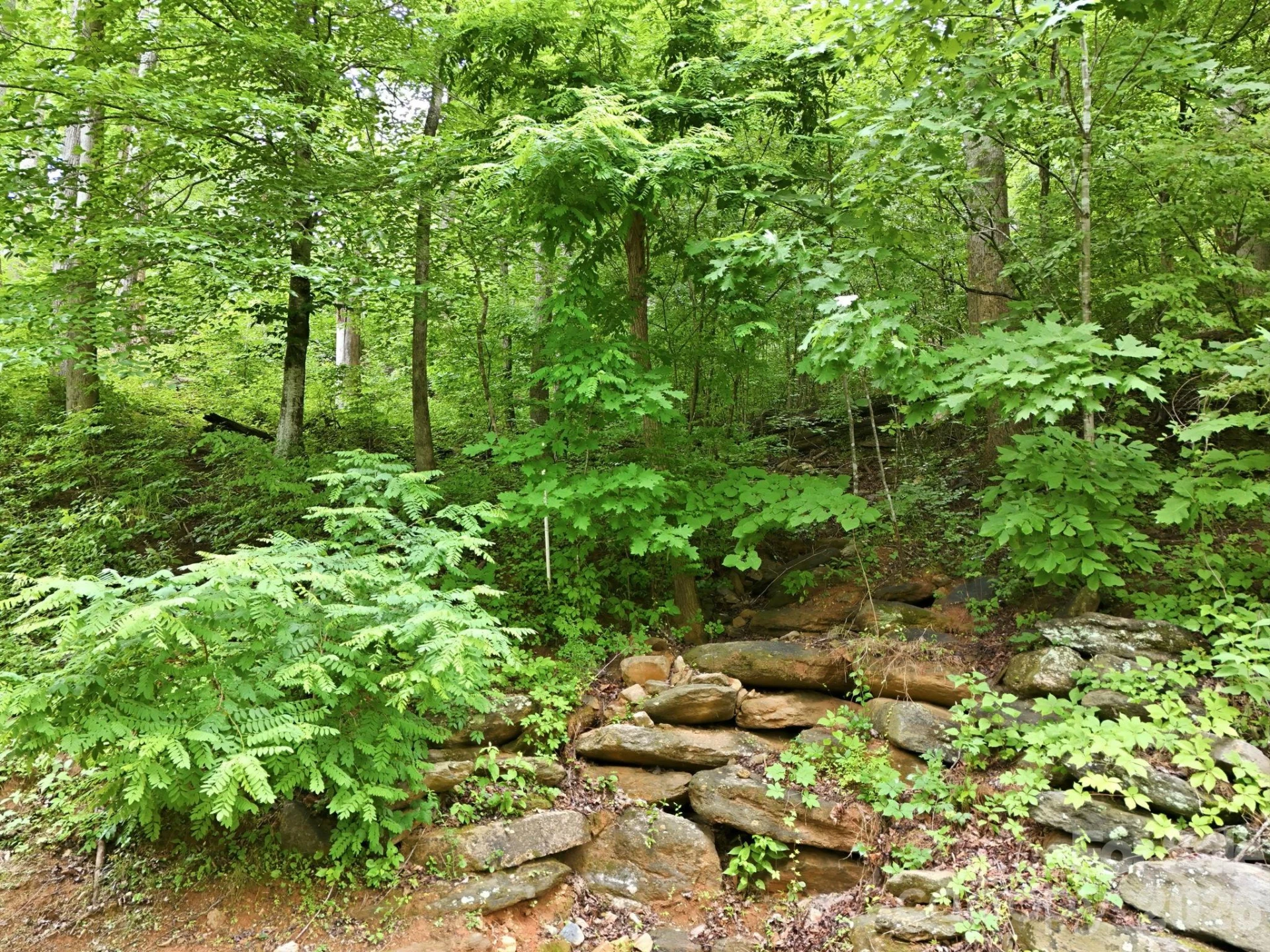 9999 Blue Ridge Drive S - Photo 8