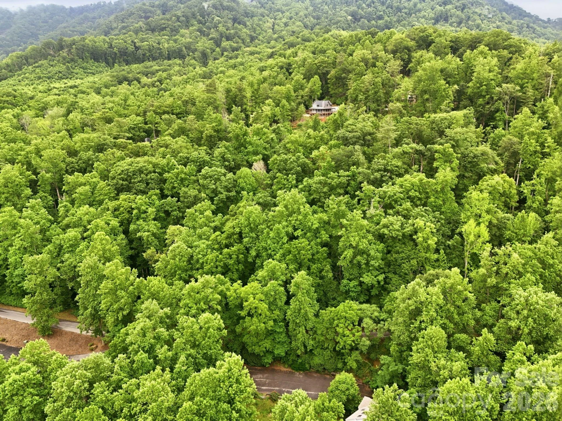 9999 Blue Ridge Drive S - Photo 9