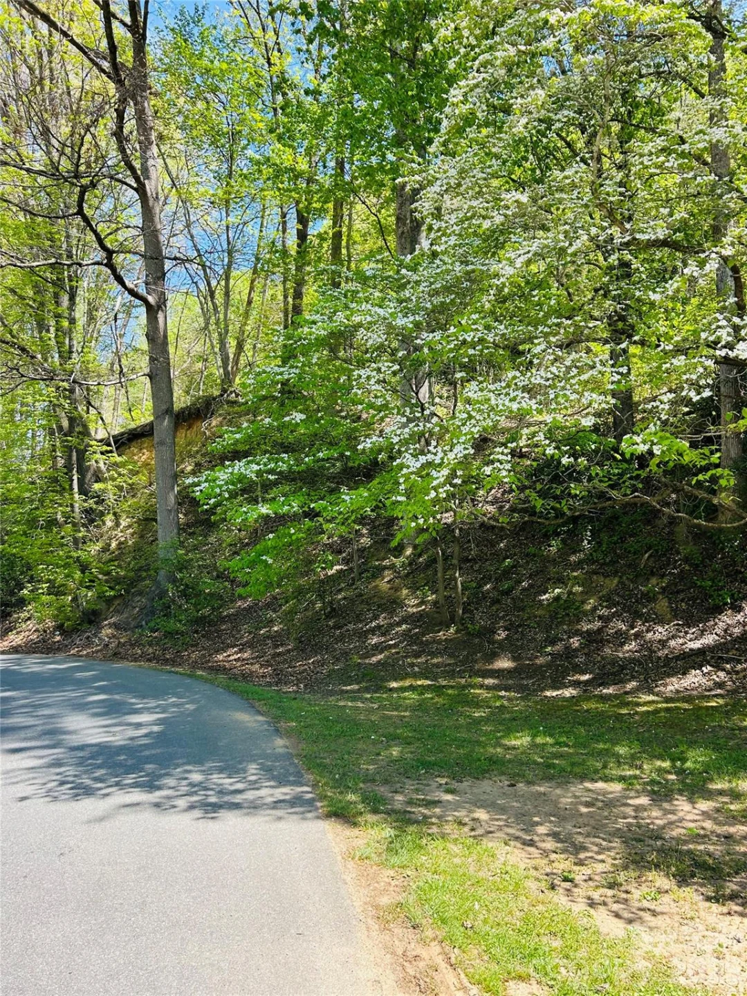 128 W Orchard Street - Photo 3