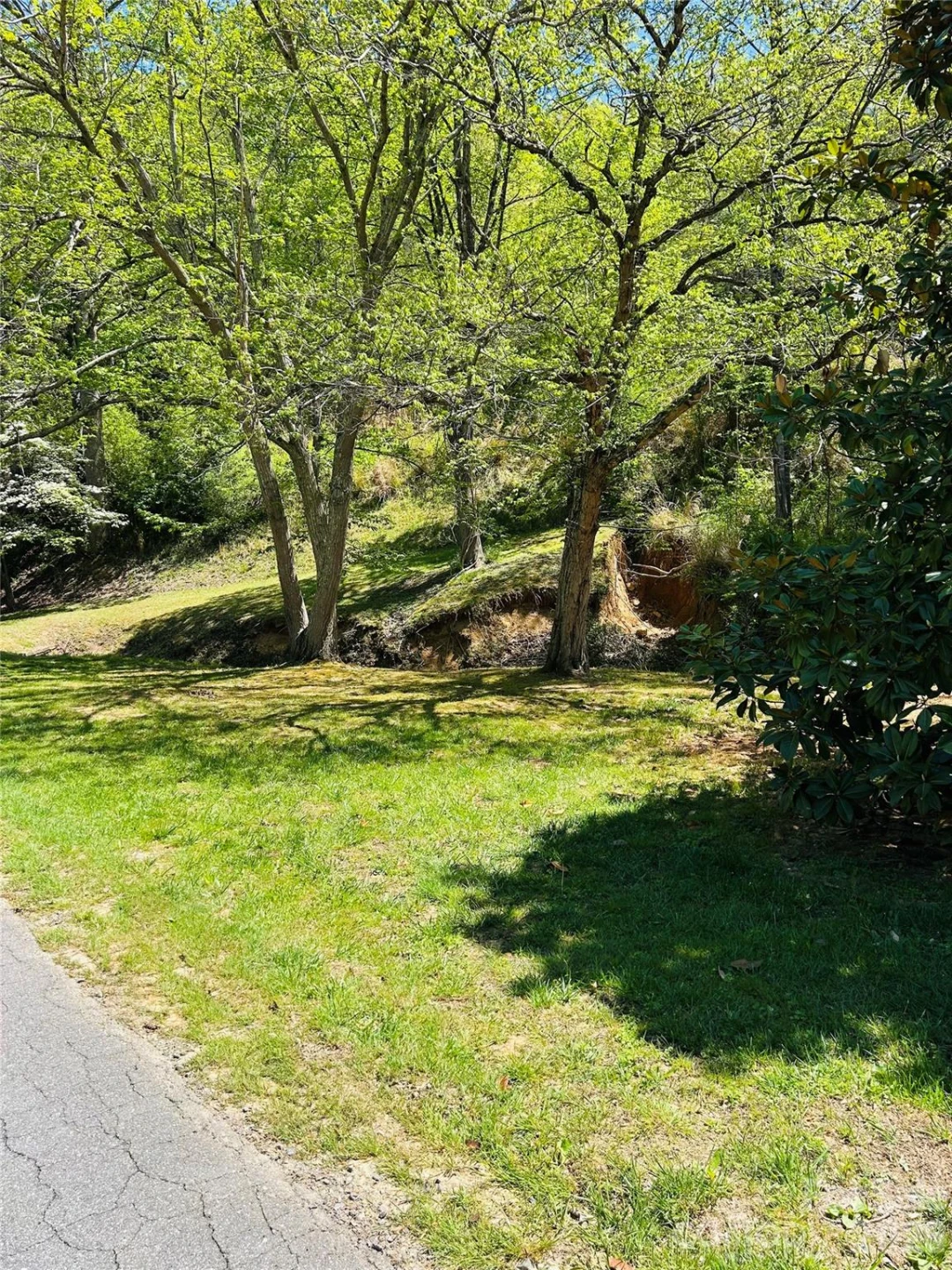 128 W Orchard Street - Photo 4