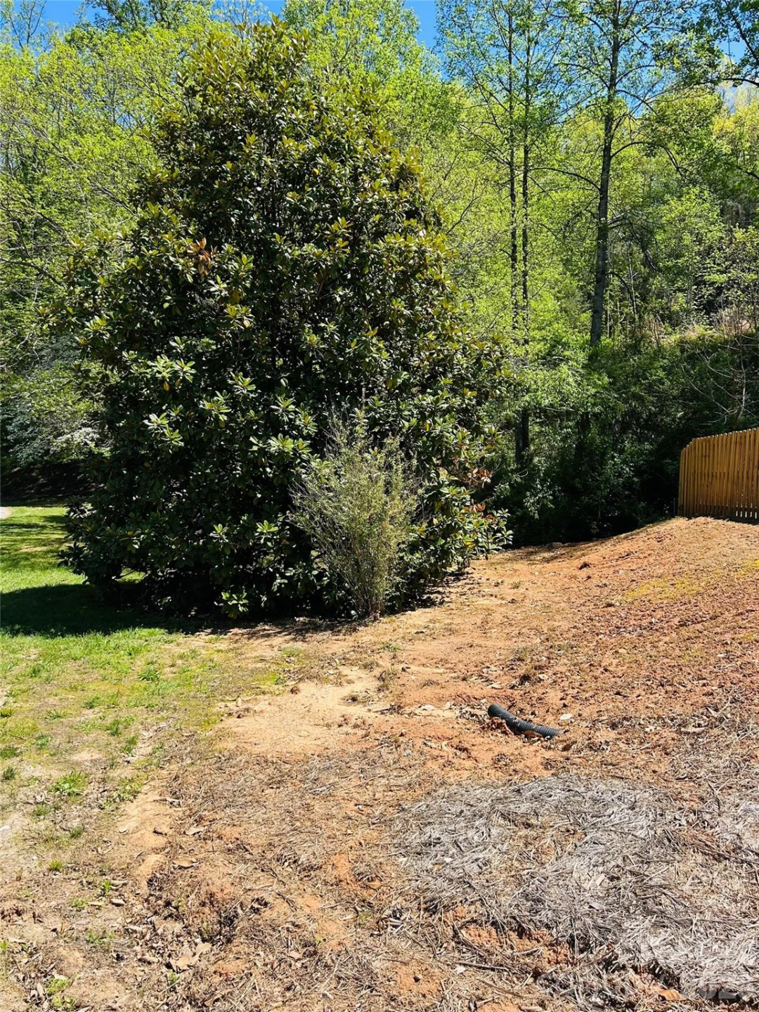 128 W Orchard Street - Photo 5