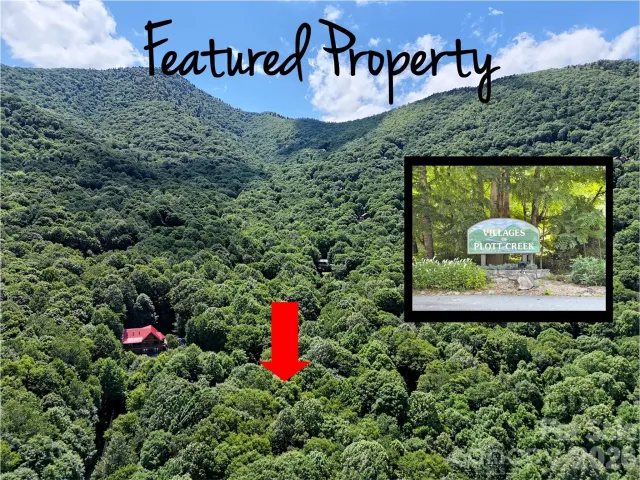 0 Serenity Mountain Road