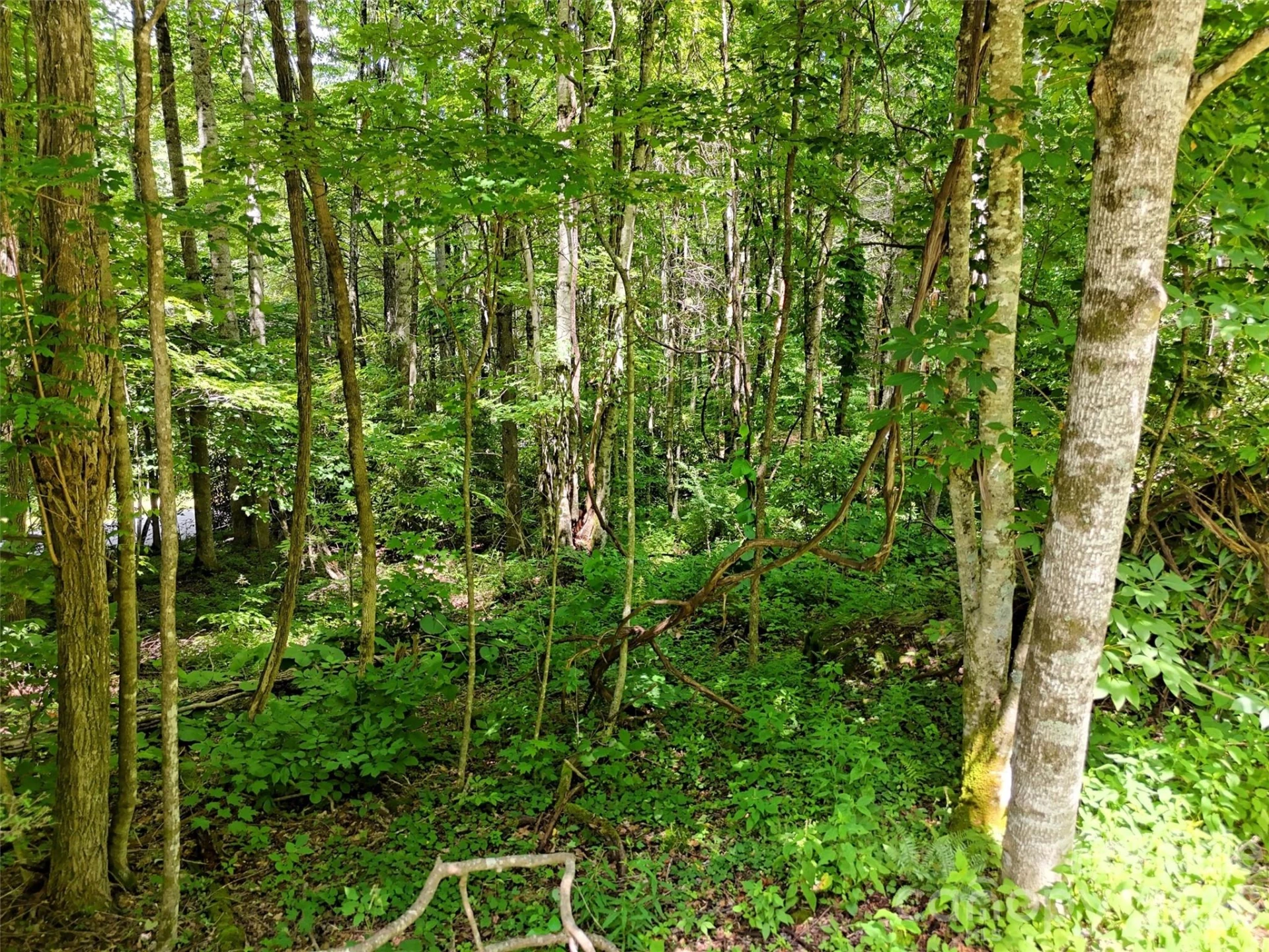 0 Serenity Mountain Road #108 - Photo 11