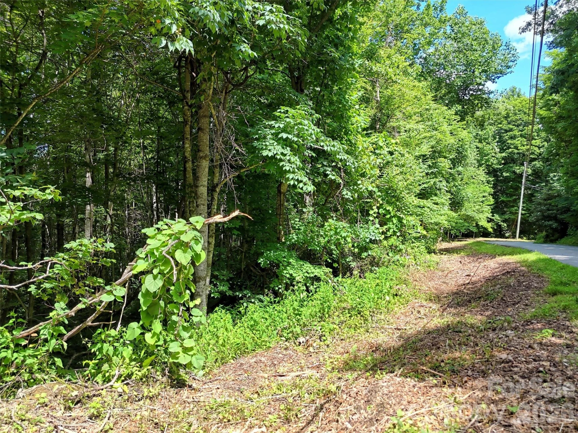 0 Serenity Mountain Road #108 - Photo 12